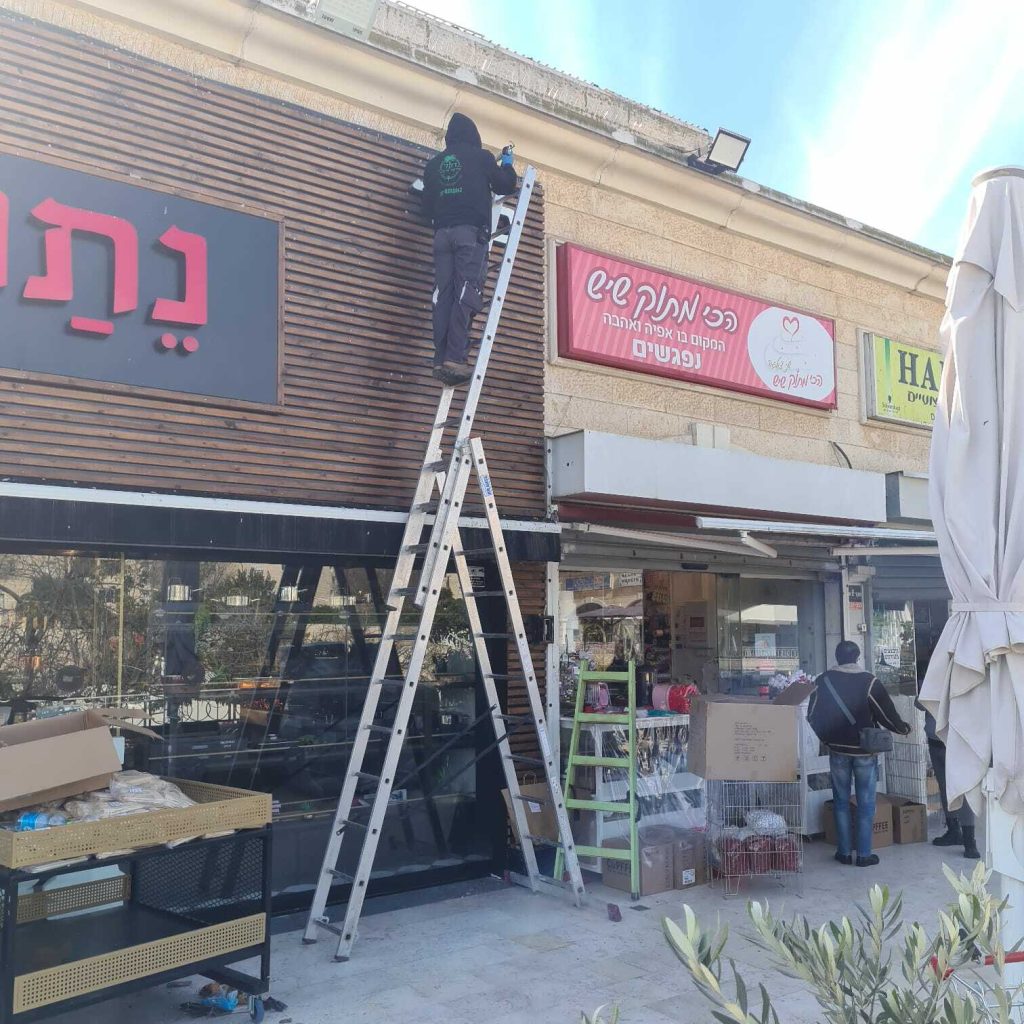 לכידת חולדות